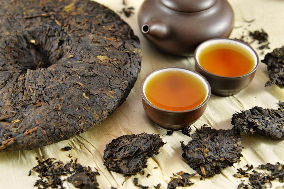 Pu-erh – ciemny lis herbacianego świata
